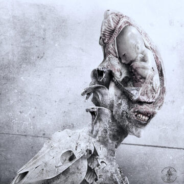 CodexMorph